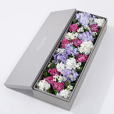 紫色白邊康乃馨8枝、白繡球1枝、藍(lán)紫色繡球1枝